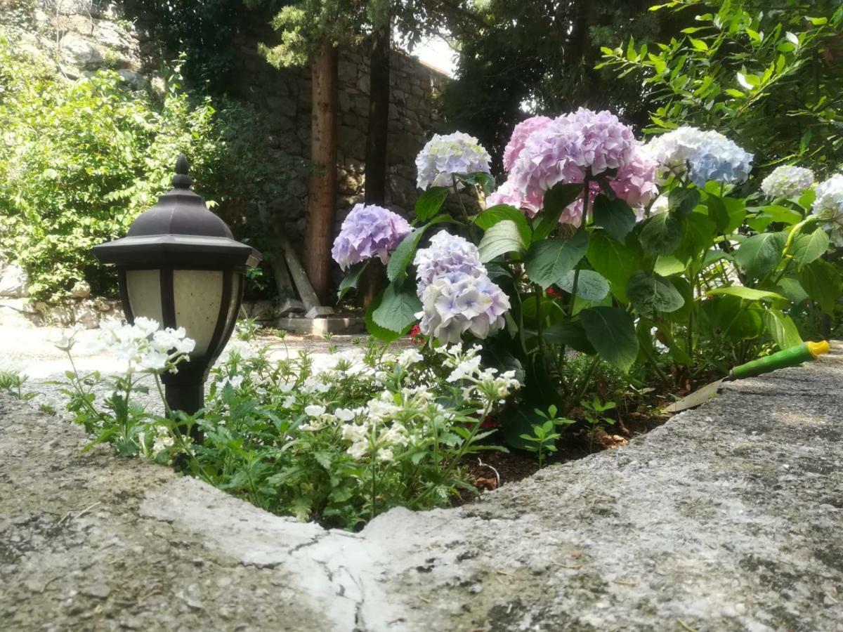 Apartments Darinka Opatija Dış mekan fotoğraf